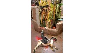 The Best Powerful SpirItual Herbalist Native IN Nigeria +2349159450040