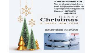 Triumph TR4 1961-1965 bumpers by stainless steel