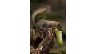 Powerful Gifted healer《+27735222291 》Edenvale, Kempton Park, Springs, 