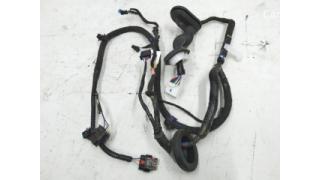 4 Tesla model 3 Rear Right Door Wiring 3067966-00-A