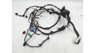 1 Front Left Door Wiring PREMIUM Tesla model 3 2067957-00-A