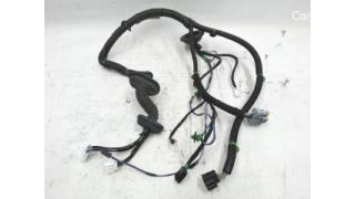 4 Tesla model S 1004426-00-F Rear Right Door Wiring